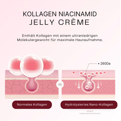 Kollagen + Niacinamide Jelly Creme